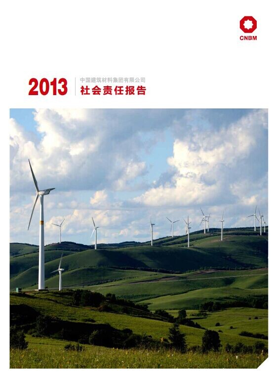 2013年可持续发展汇报