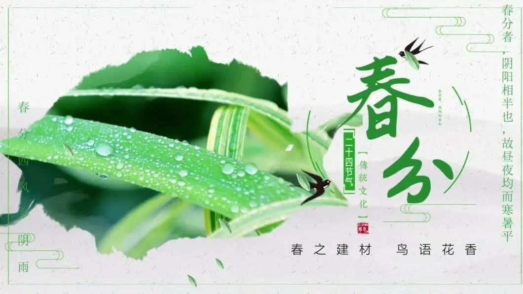 今日春分 | 春之建材，鸟语花香