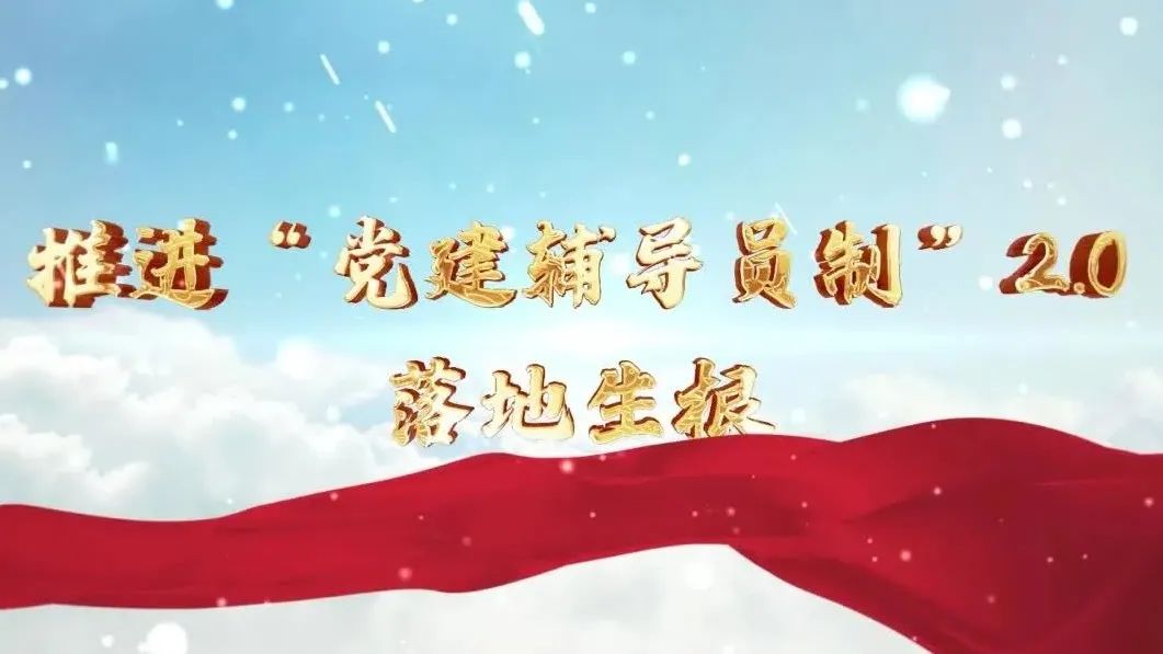  党建经营融合十佳案例④ | 西南水泥——“领导员造”+“进建型组织”，让党建成为看得见的“出产力” 